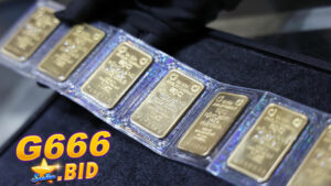 G666 giá vàng hôm nay